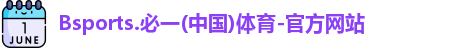 B体育官网